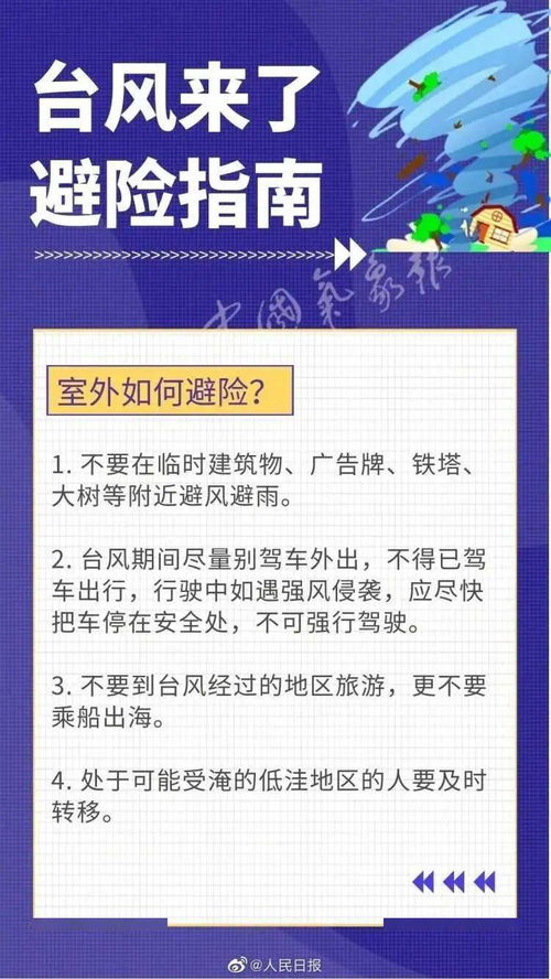 全面释义与落实，周全视角下的行动指南