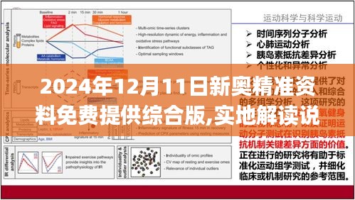 2025精准资料免费大全，使用释义与落实策略