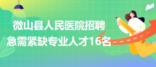 济宁人才网最新招聘信息，探索人才市场的机遇与挑战