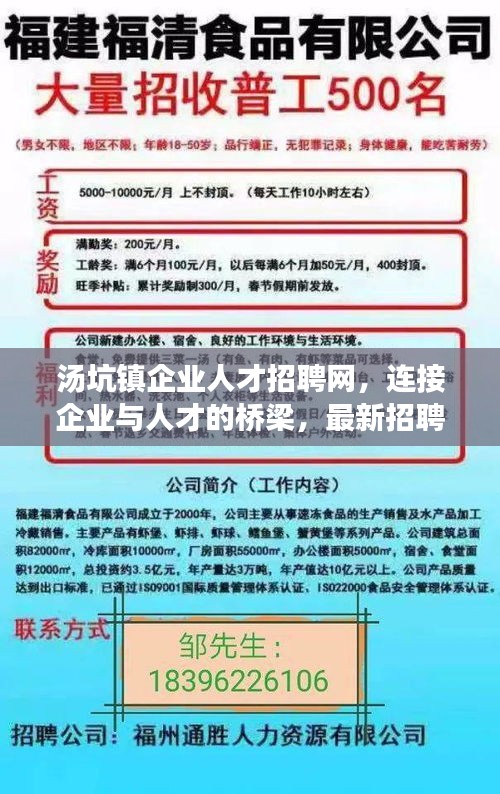 惠安人才网招聘信息网，连接企业与人才的桥梁