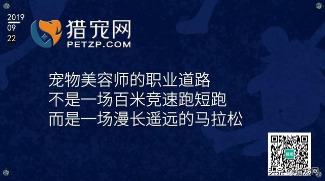 黄石宠物人才网招聘，打造宠物行业人才新高地