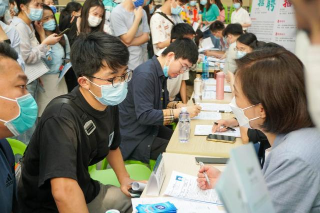 黄陂区人才市场招聘网，构建区域人才生态，助力企业高效招聘